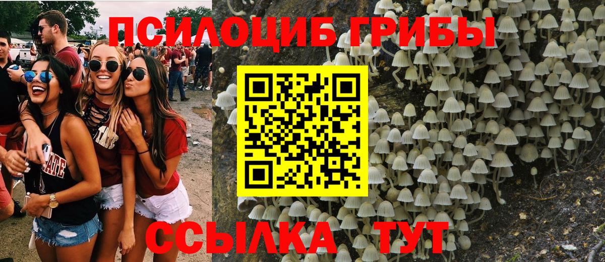 Псилоцибиновые грибы Psilocybe  Вход с VPN  Мегион 